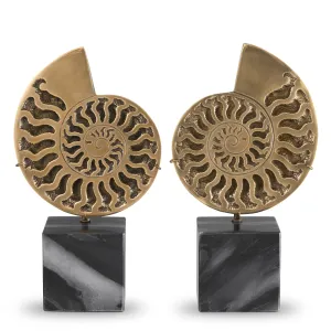 113731 - Object Ammonite vintage brass finish set of 2