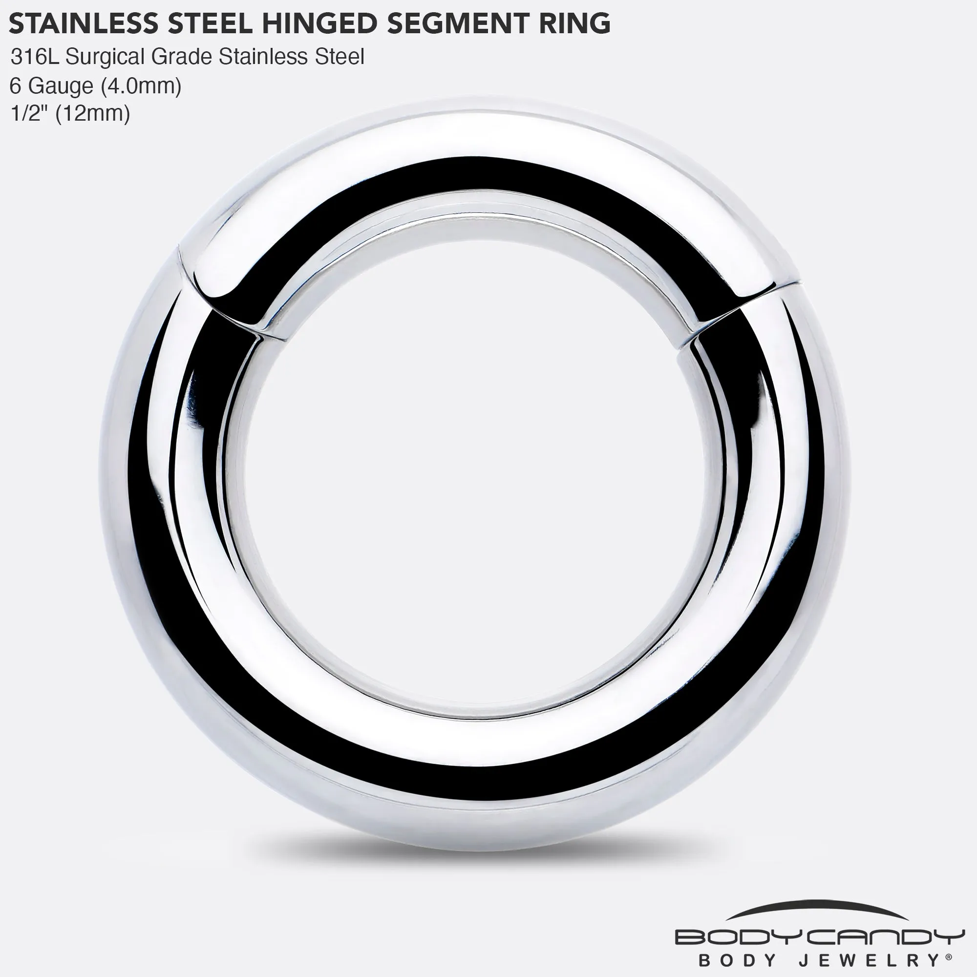 6 Gauge 1/2 316L Surgical Steel Precision Hinged Segment Hoop