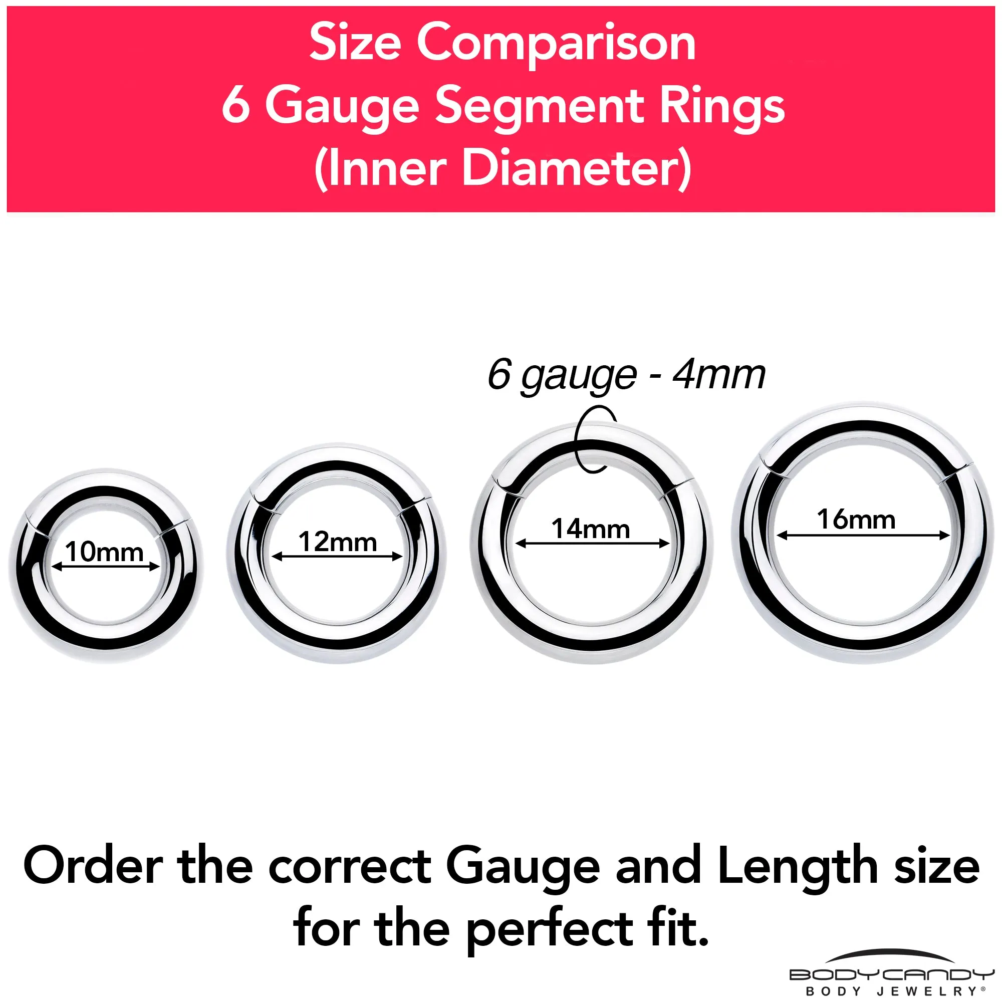 6 Gauge 1/2 316L Surgical Steel Precision Hinged Segment Hoop