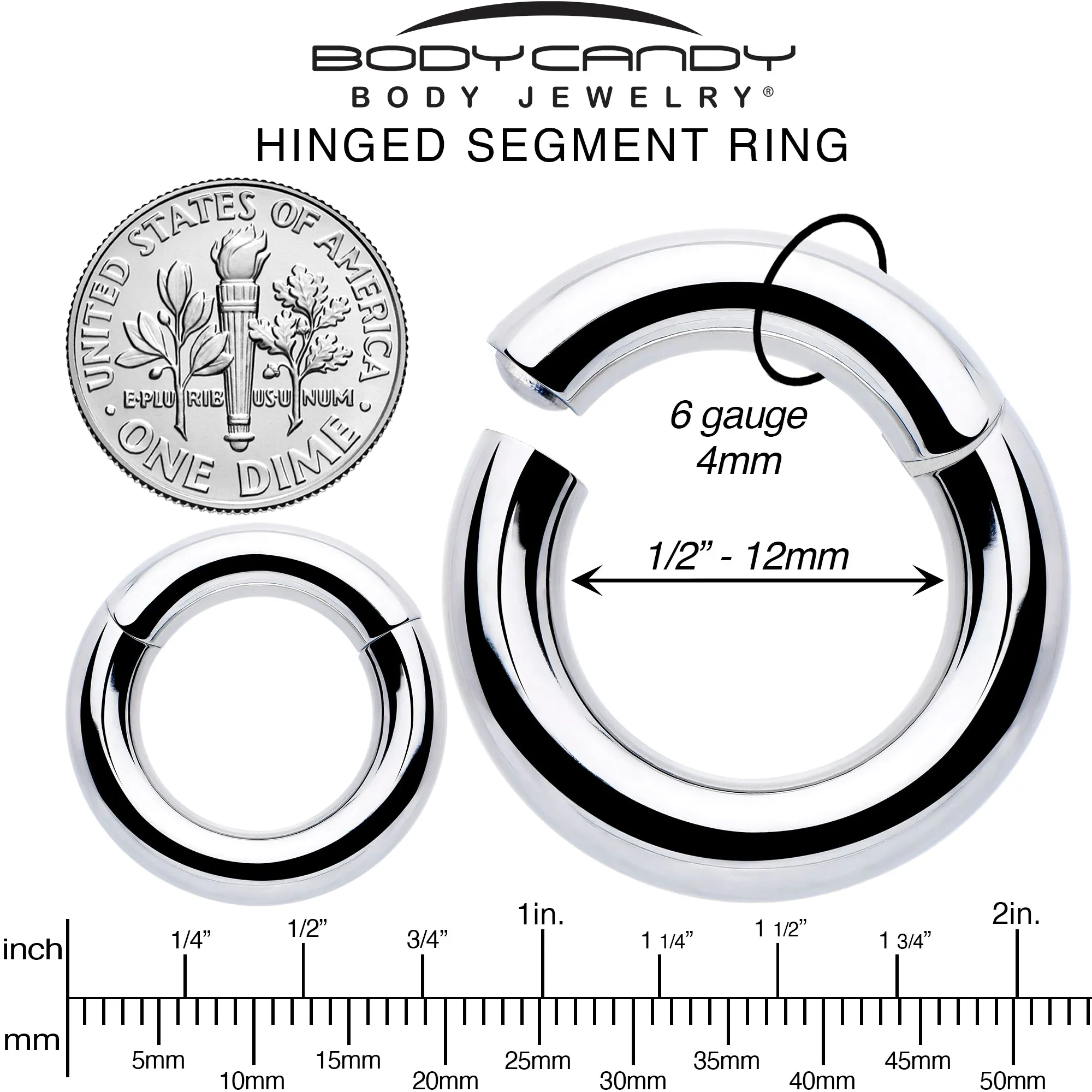 6 Gauge 1/2 316L Surgical Steel Precision Hinged Segment Hoop