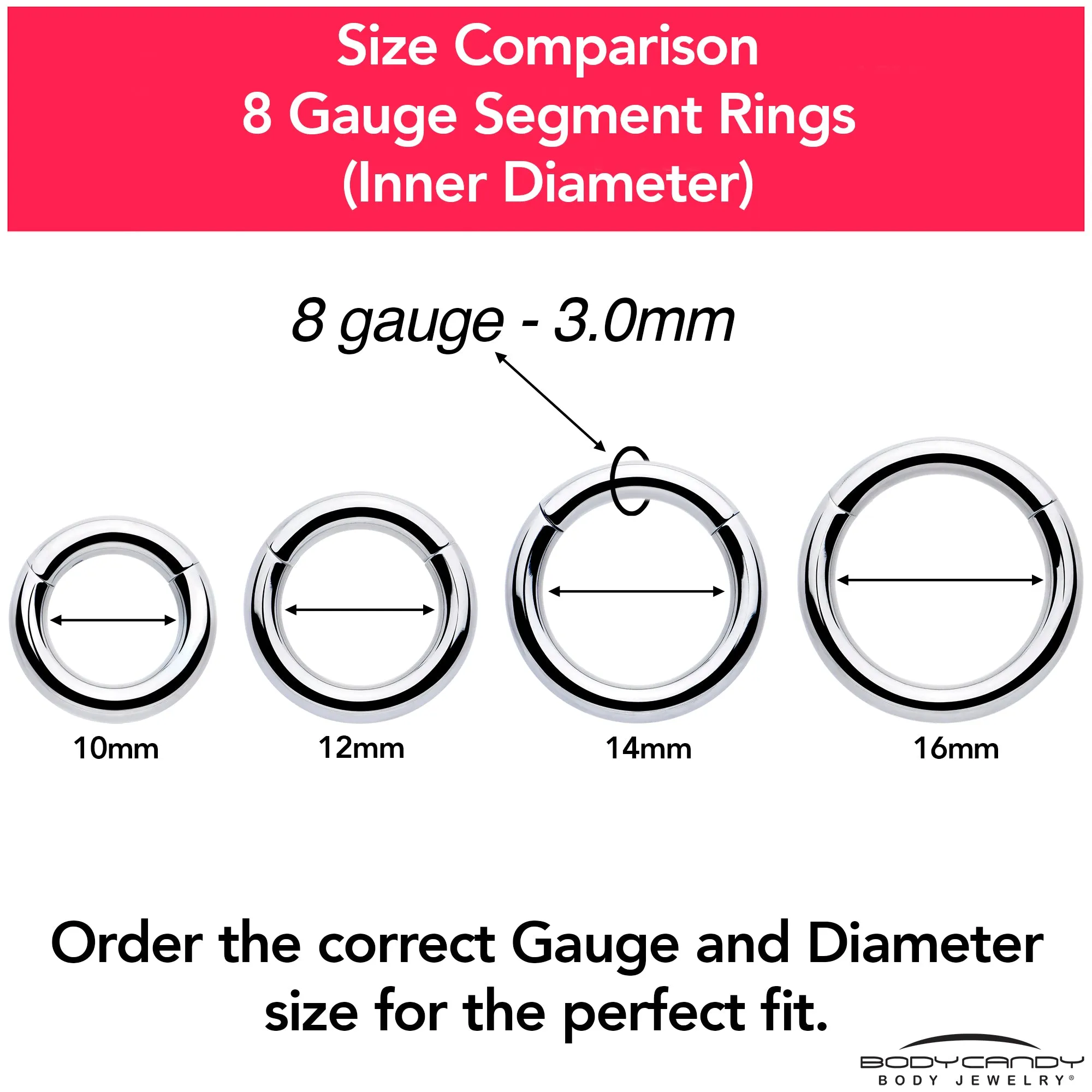 8 Gauge 9/16 316L Surgical Steel Precision Hinged Segment Hoop