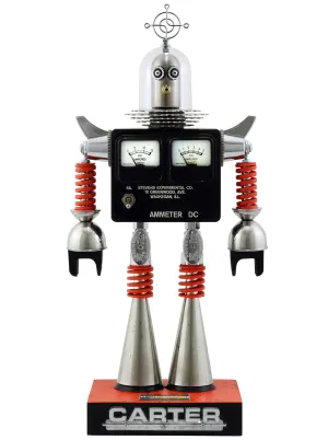 CARTER ROBOT & CUSTOM SHIRT PACKAGE