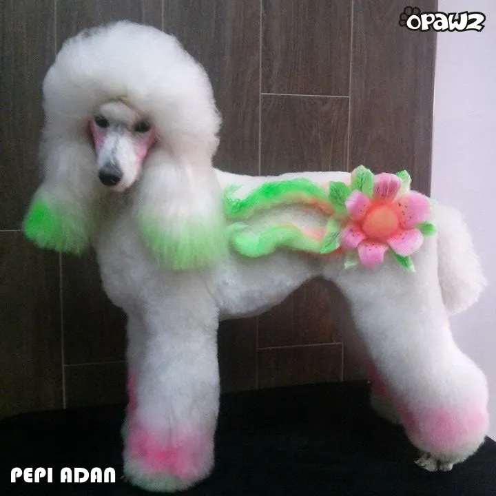 Color Paste - Yellow (TP02)
