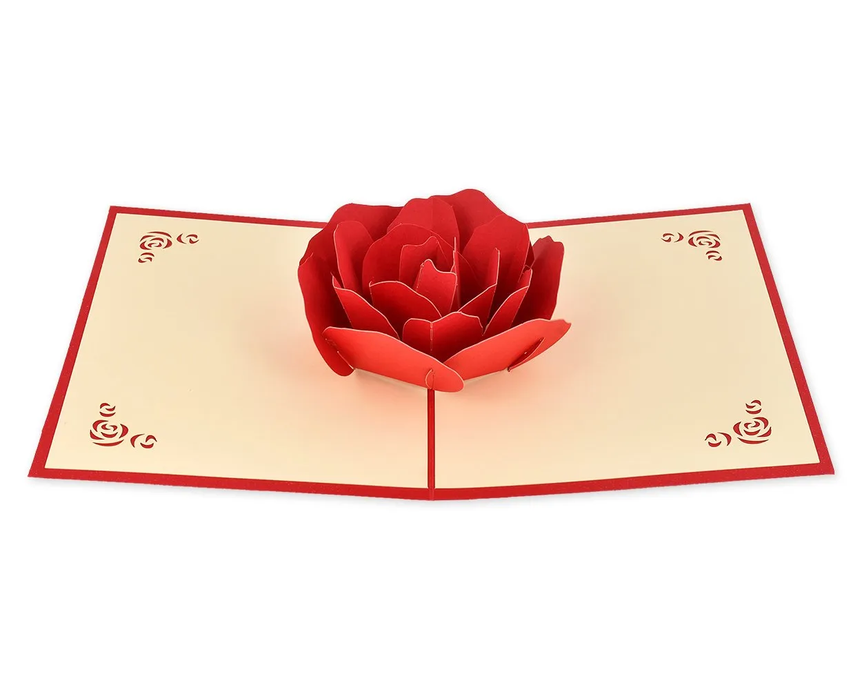 Creative Pop Up Greeting Card