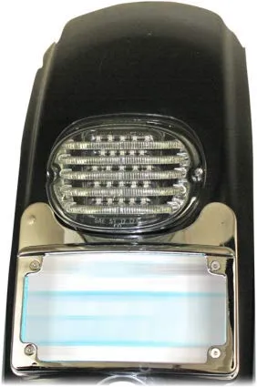 Custom Dynamics Turn Signal Eliminator Kit for Harley Touring Models - Chrome Plated & LED illuminated, curved license plate frame and tail light mount (CD-TS-ELIM-C)
