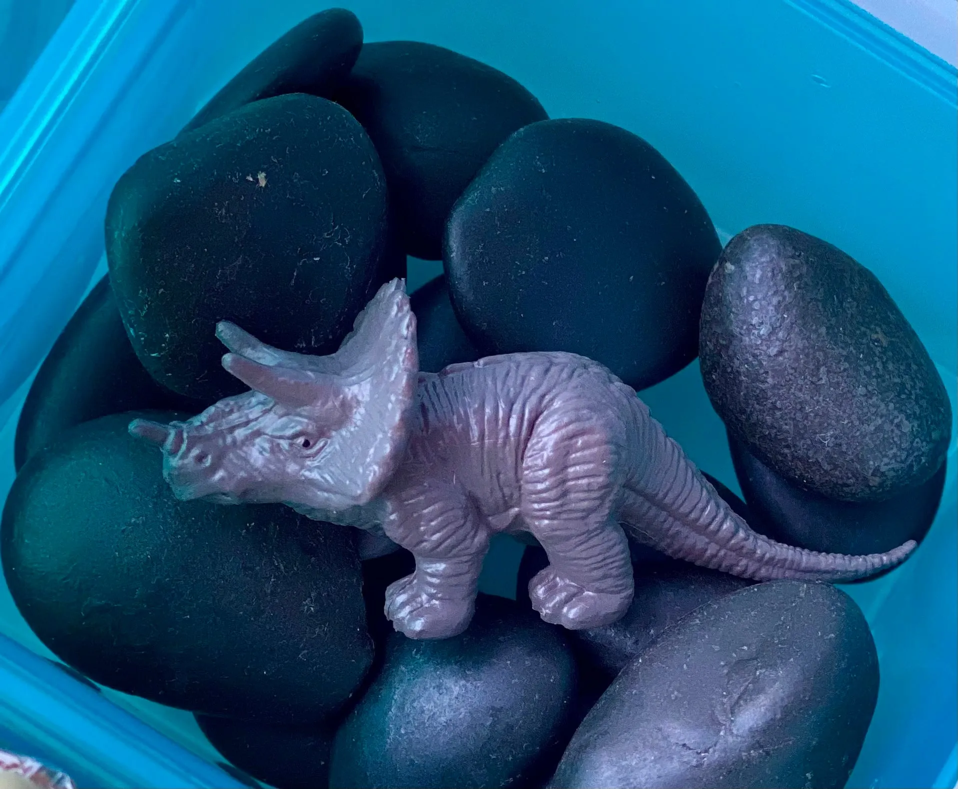 Dinosaur Bin