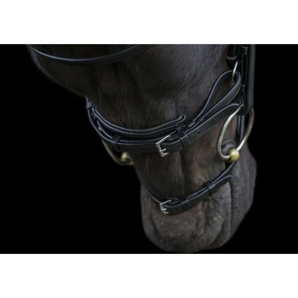 Eco Rider Ecosoft Acclaim Bridle -Soft EcoLeather, Padded Browband Crystal Inlay