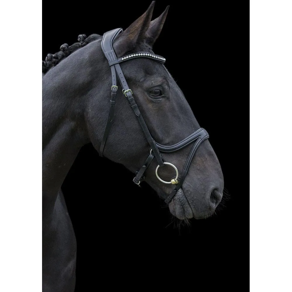 Eco Rider Ecosoft Acclaim Bridle -Soft EcoLeather, Padded Browband Crystal Inlay