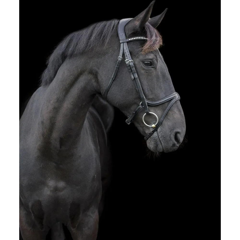 Eco Rider Ecosoft Acclaim Bridle -Soft EcoLeather, Padded Browband Crystal Inlay