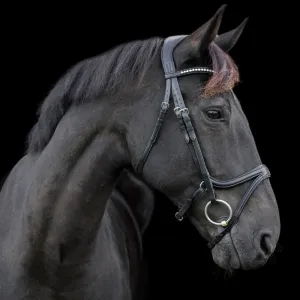 Eco Rider Ecosoft Acclaim Bridle -Soft EcoLeather, Padded Browband Crystal Inlay