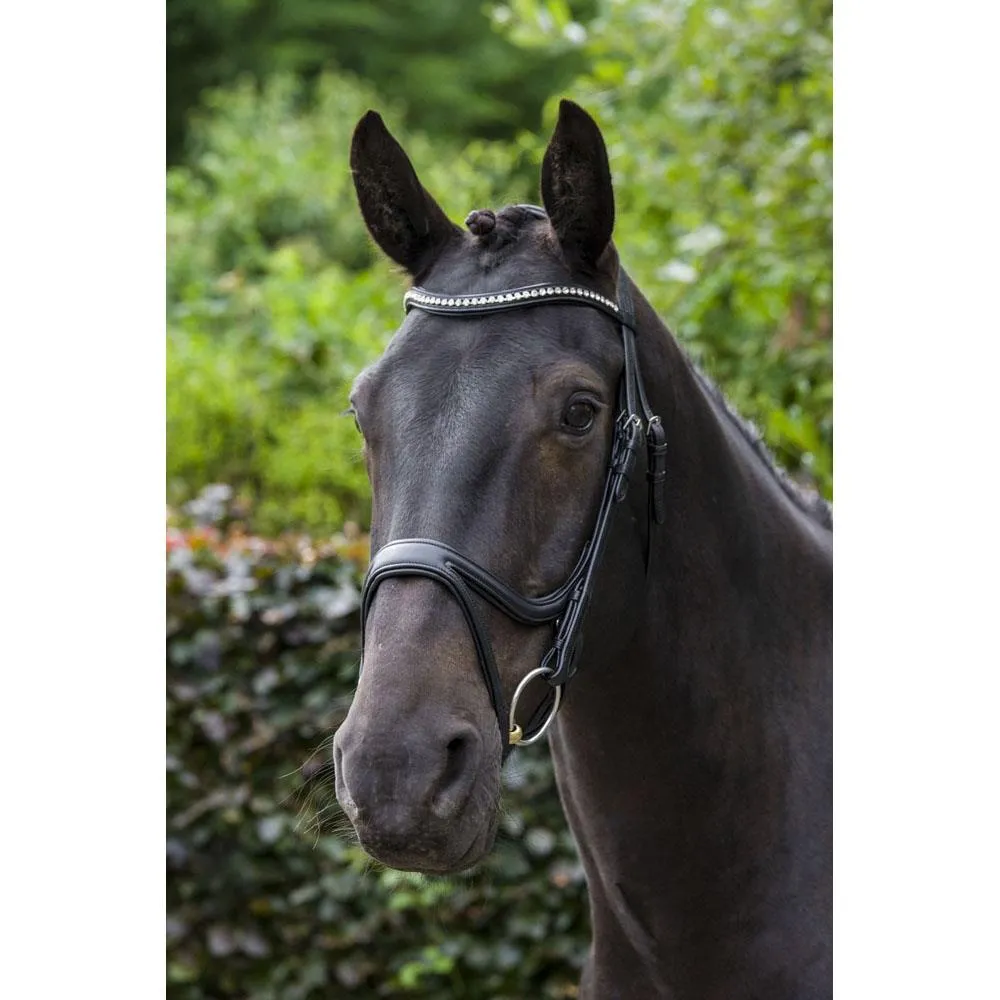 Eco Rider Ecosoft Acclaim Bridle -Soft EcoLeather, Padded Browband Crystal Inlay