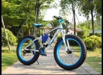 ELECTRONIC BIKES
