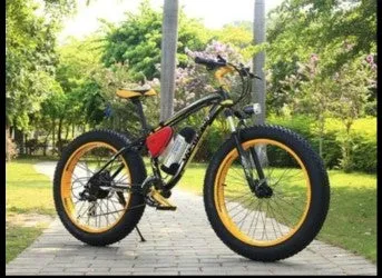 ELECTRONIC BIKES