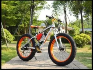 ELECTRONIC BIKES
