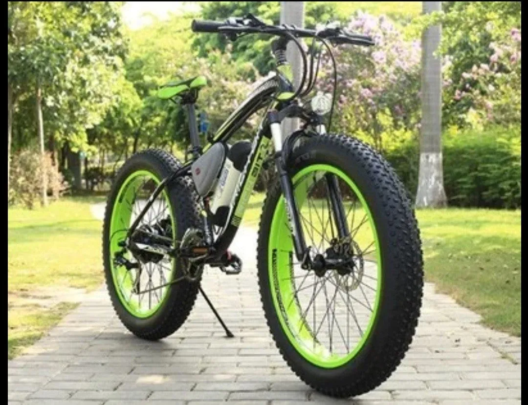 ELECTRONIC BIKES