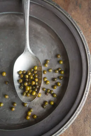 Fine Art Metal Print, Green Peppercorns II