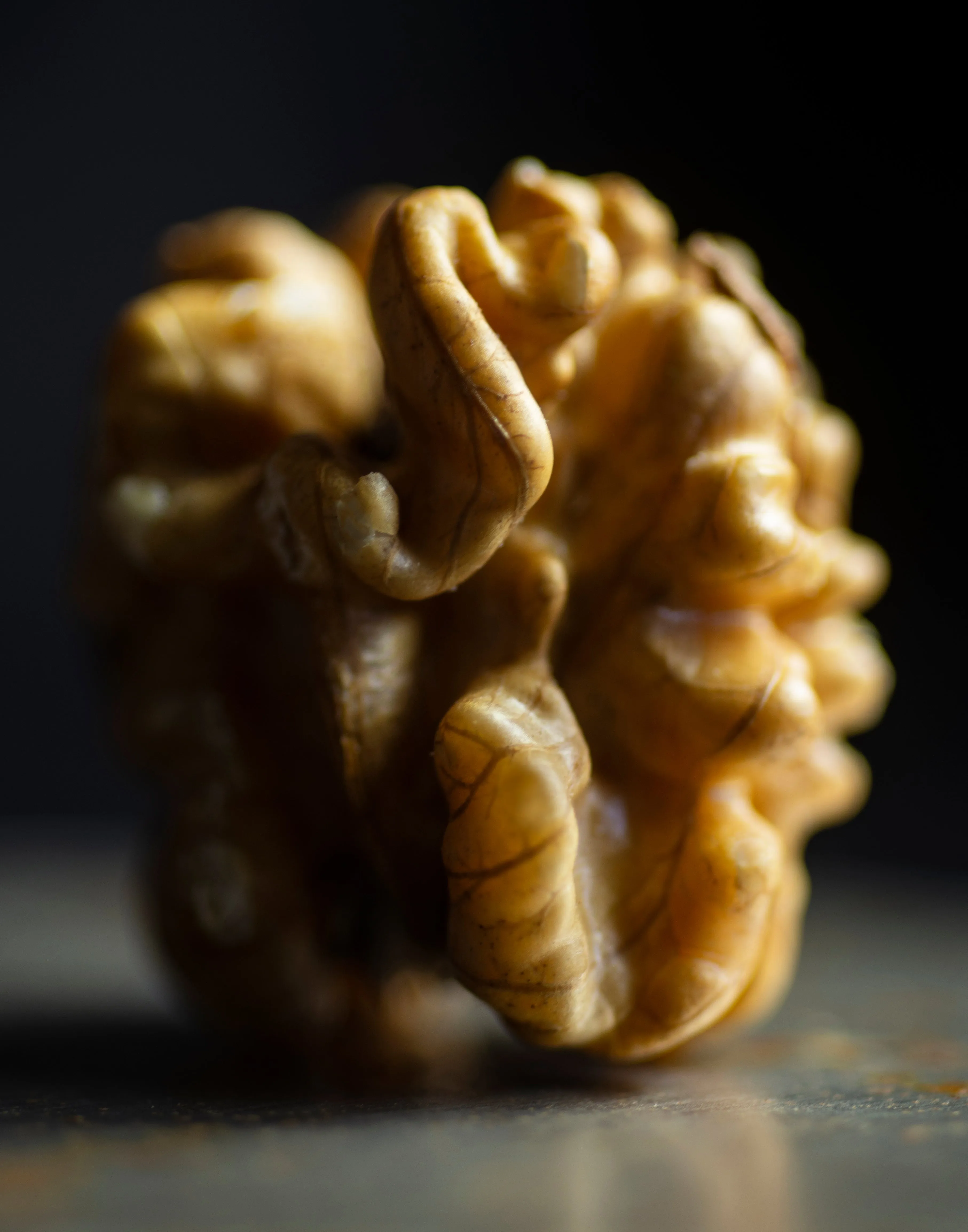 Fine Art Metal Print, Walnut I