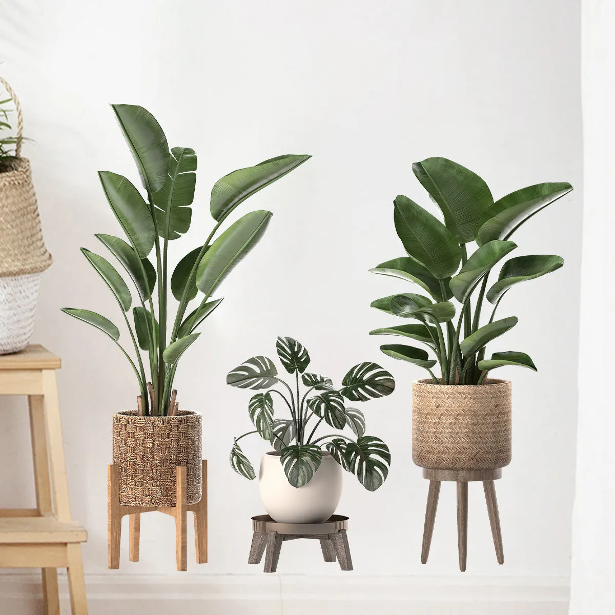 Green Plant Ornamental Potted Wall Stickers for Bedroom & Living Room Wall Decoration