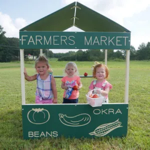 Infinity Playgrounds- Farmers Market Playhouse