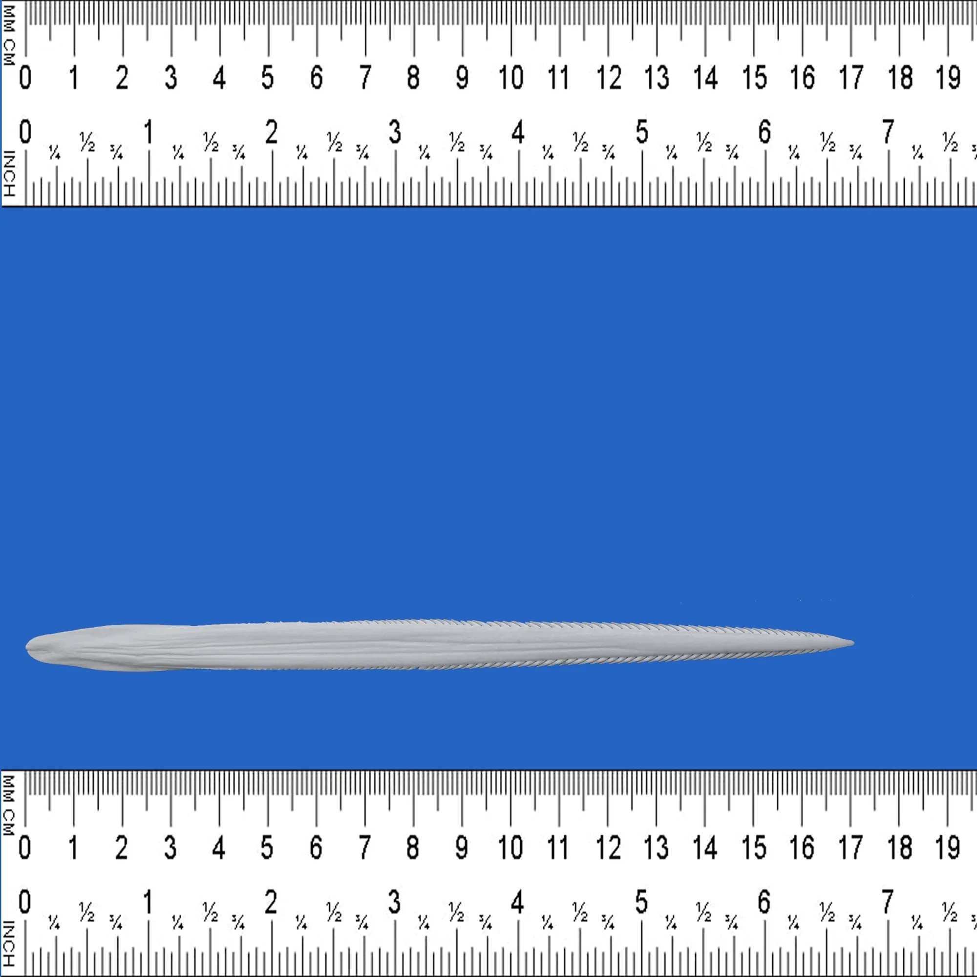Large Stingray Barb SB23