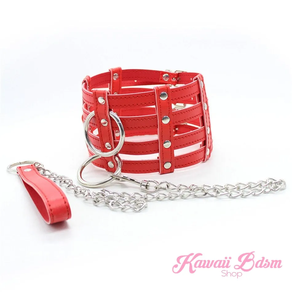 Lima Collar & Leash Set