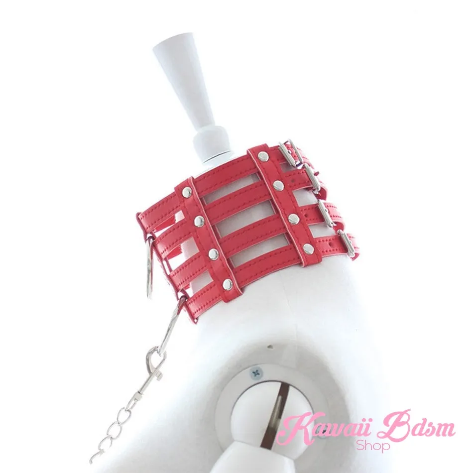 Lima Collar & Leash Set