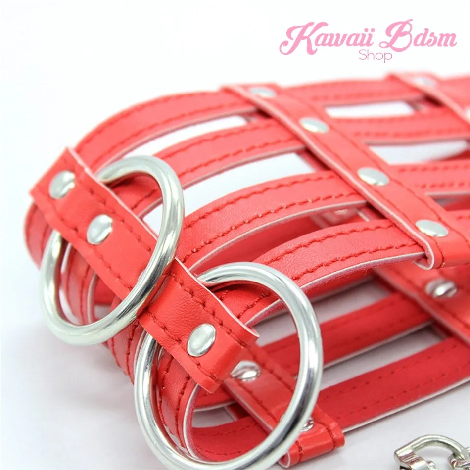 Lima Collar & Leash Set