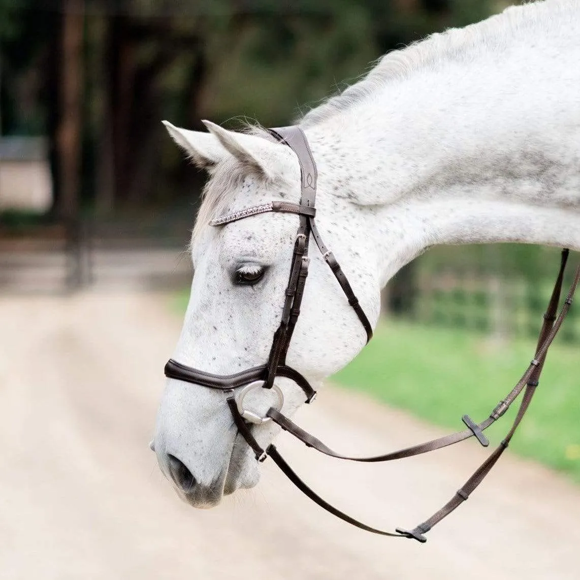 Lumiere Mila Bridle (L3401)