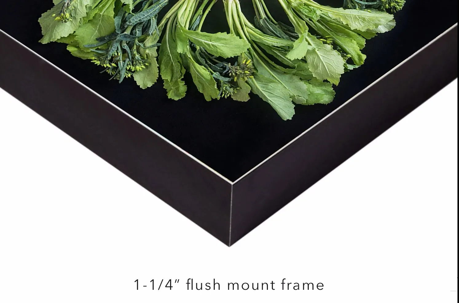Mandala Fine Art Metal Print, Radish, Arugula and Cauliflower
