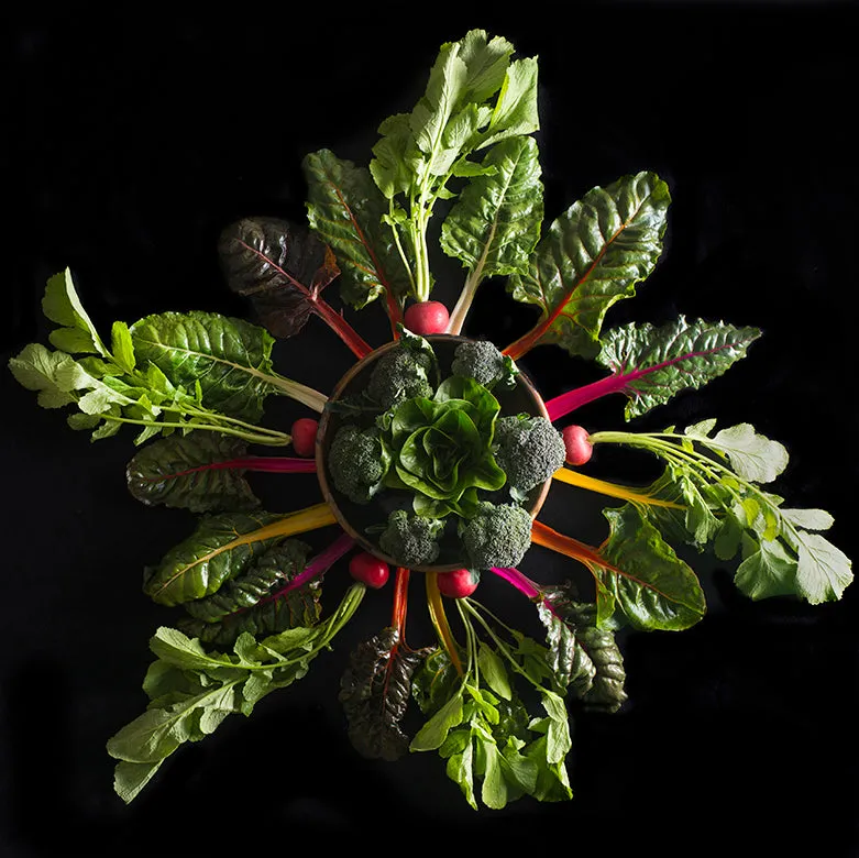 Mandala Fine Art Metal Print, Radish, Chard and Broccoli