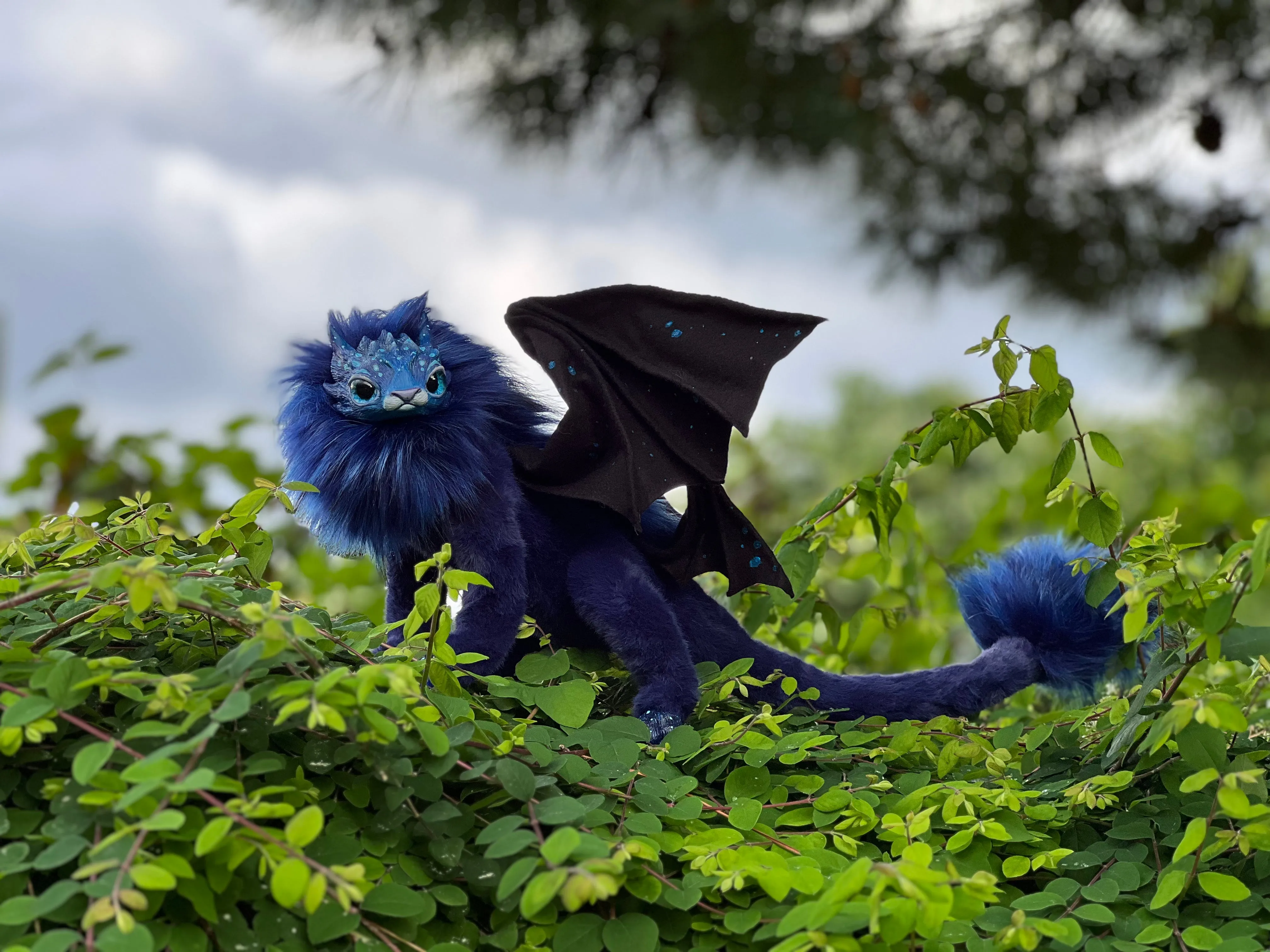 Mercurian salamander – space blue
