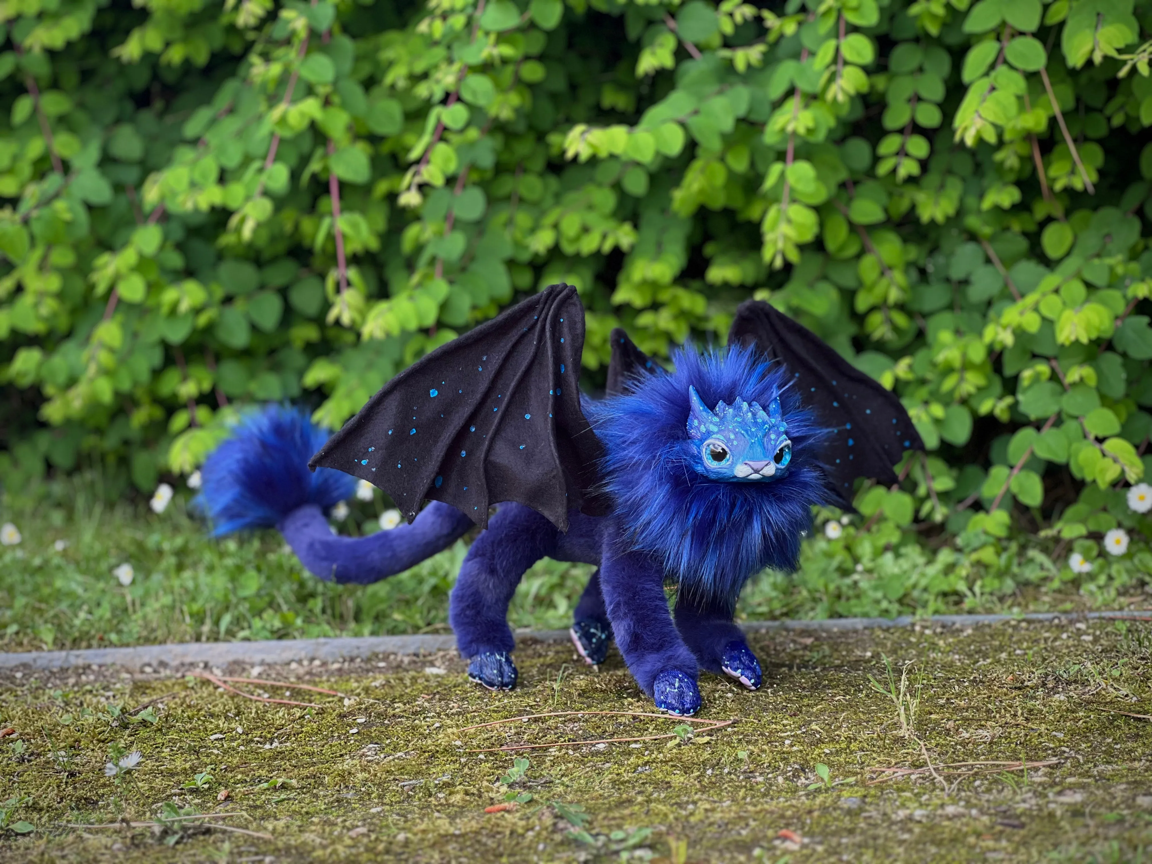 Mercurian salamander – space blue