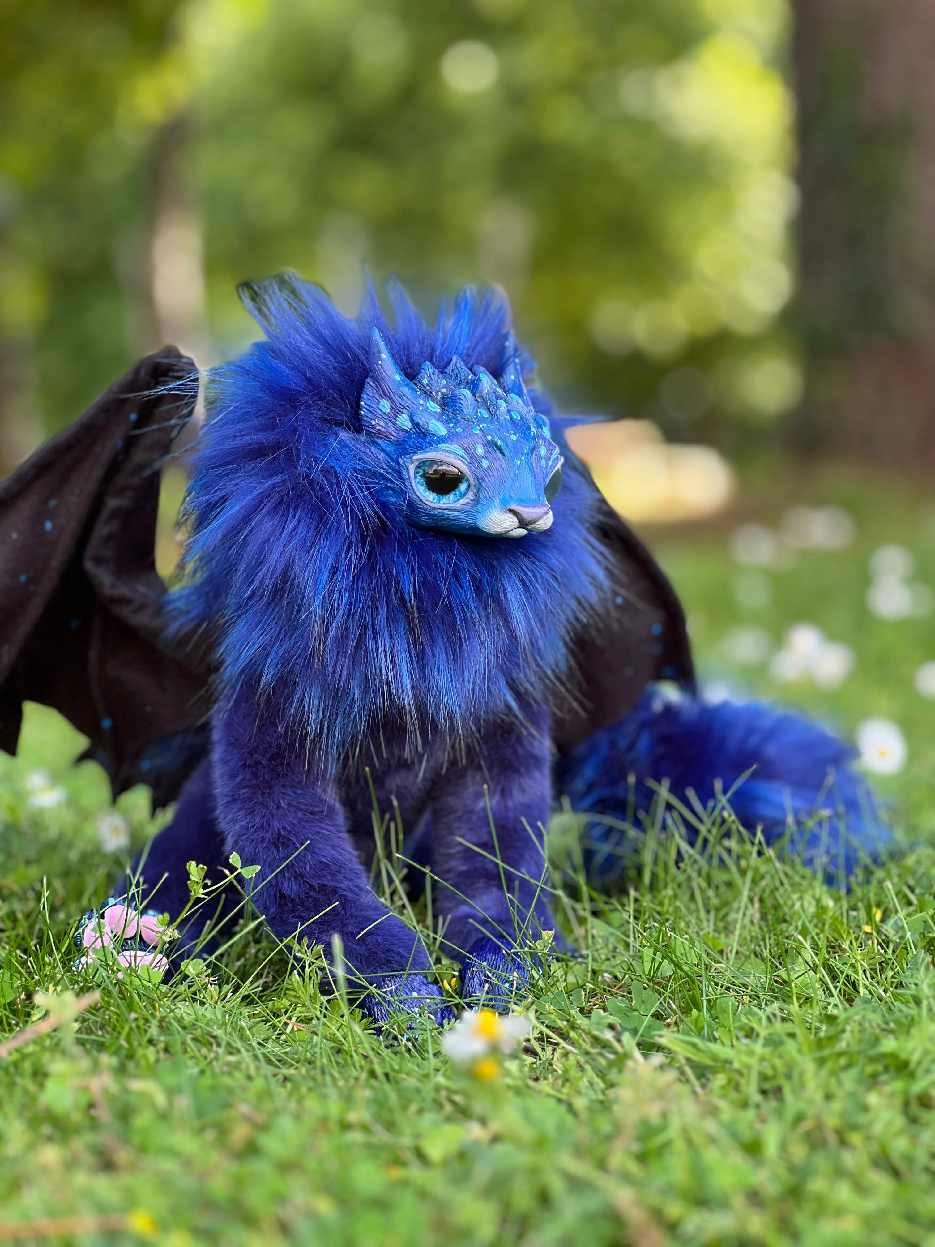Mercurian salamander – space blue
