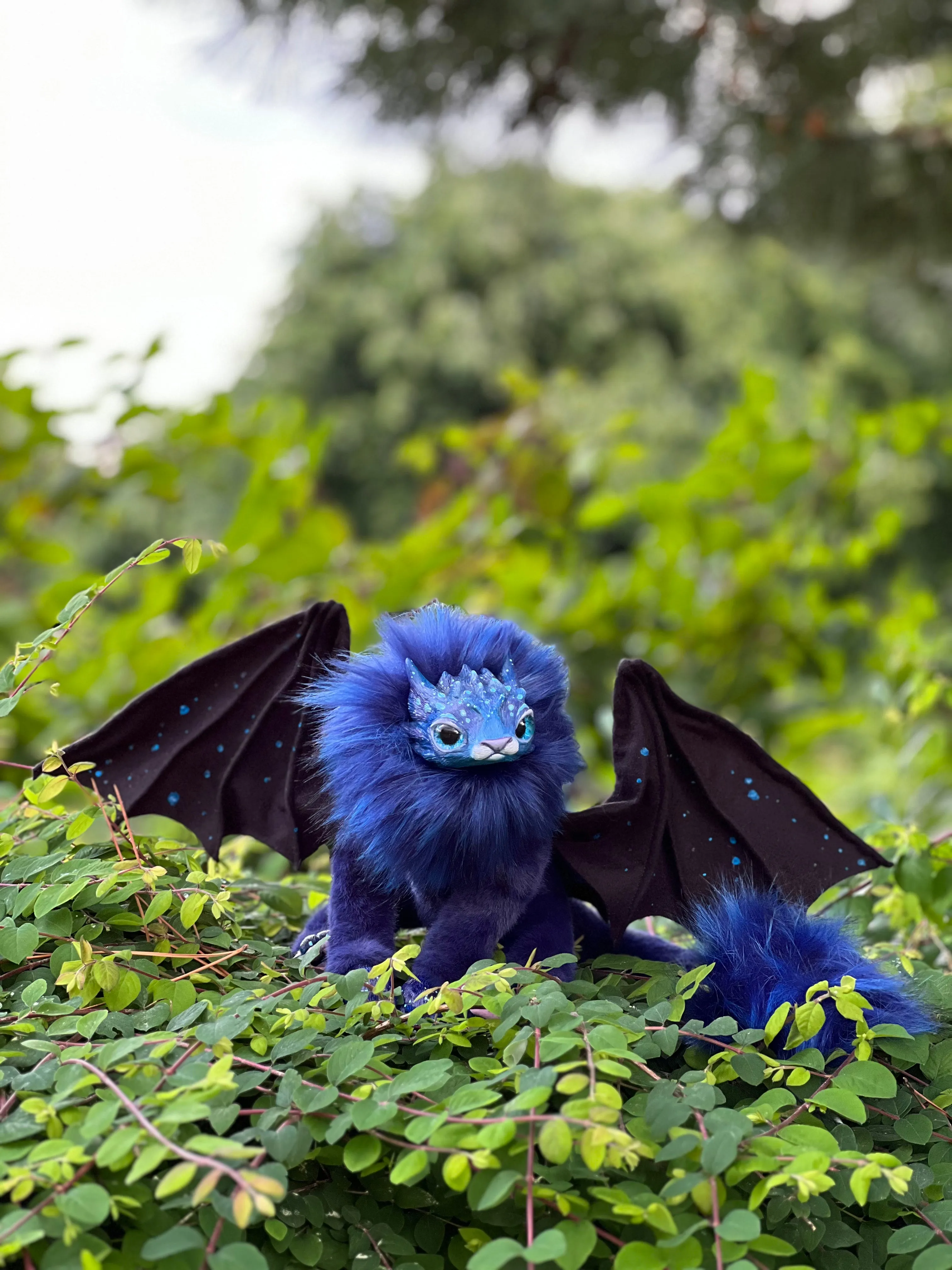 Mercurian salamander – space blue