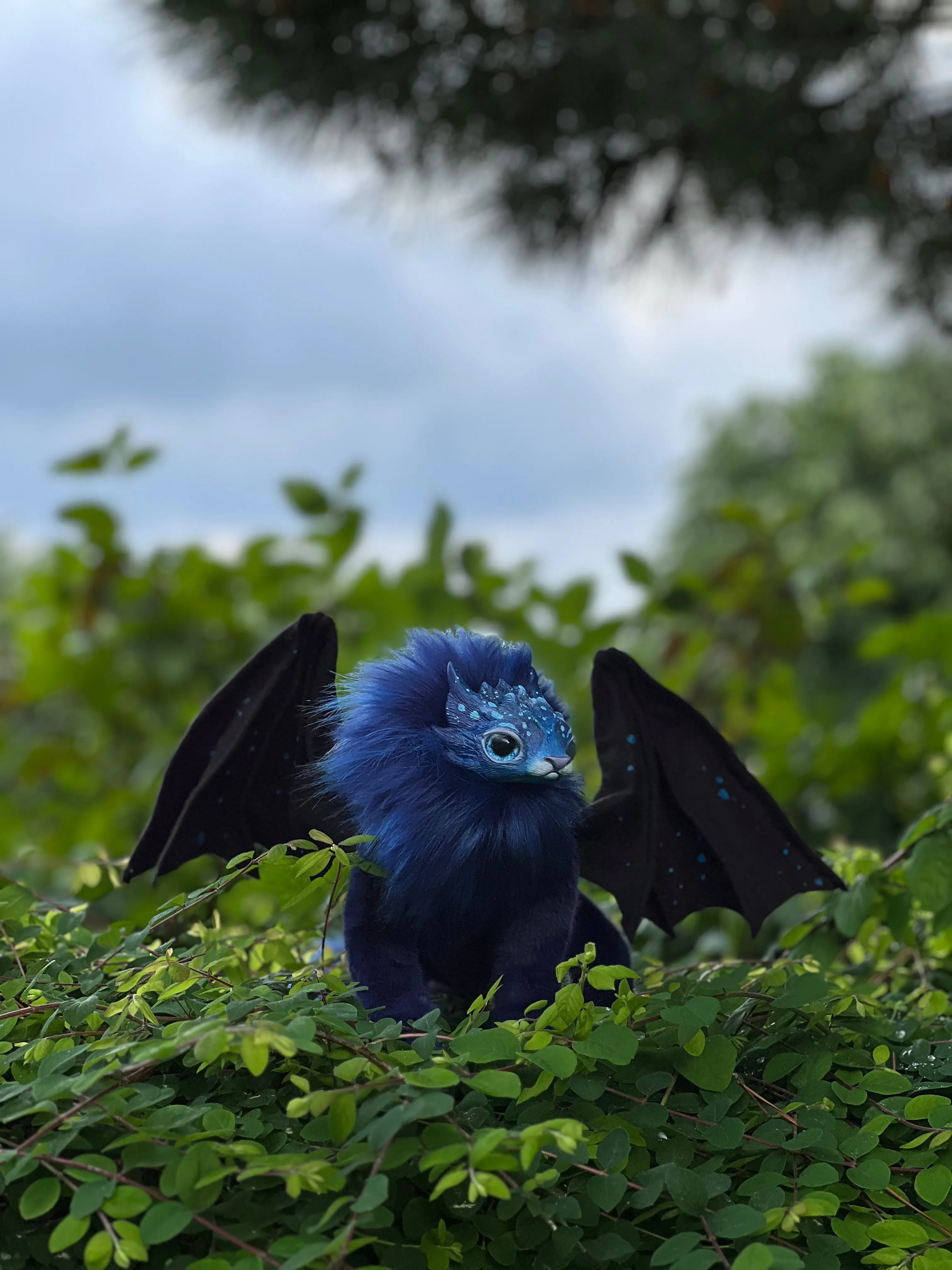 Mercurian salamander – space blue