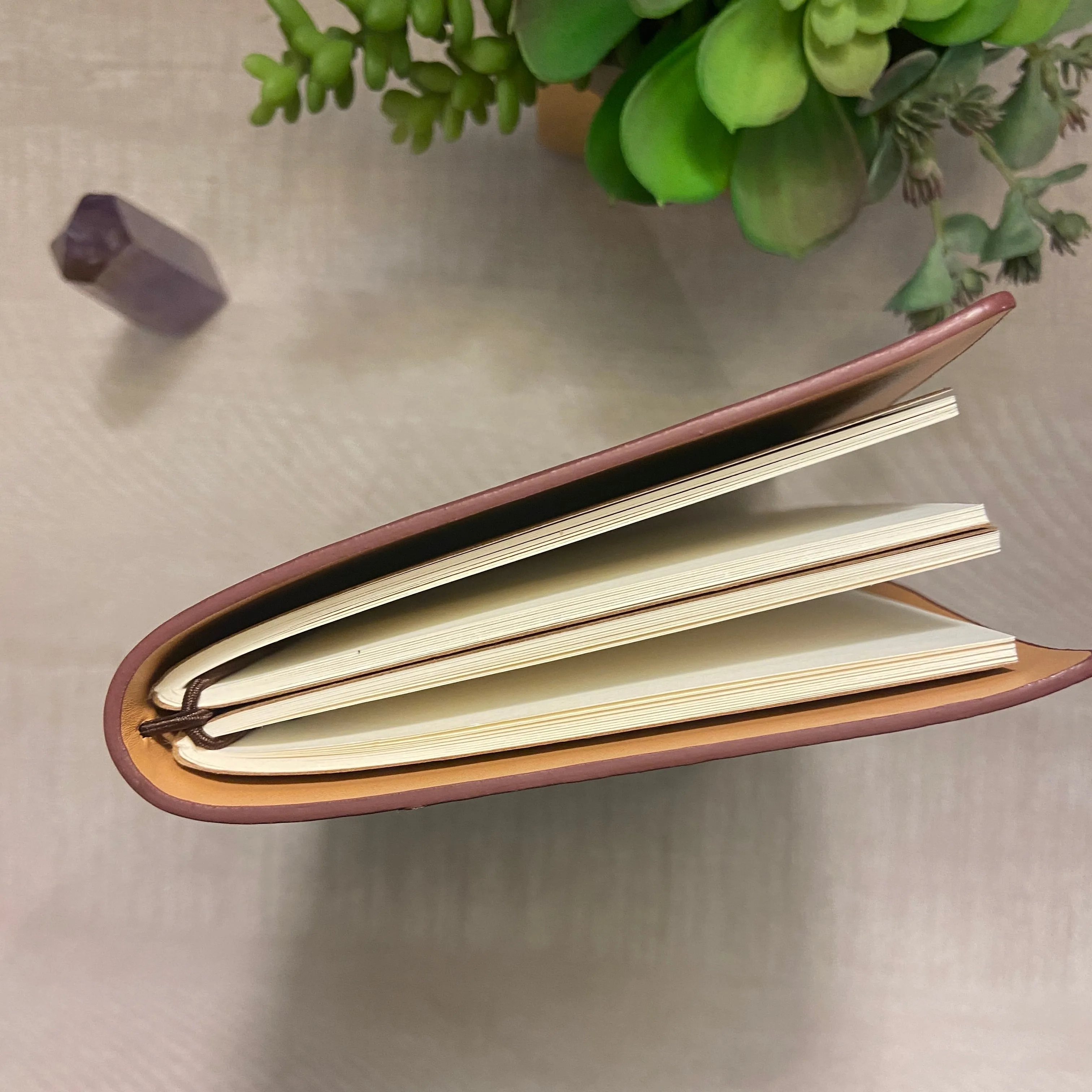 Notebook Journal - Seed of Life Chakra