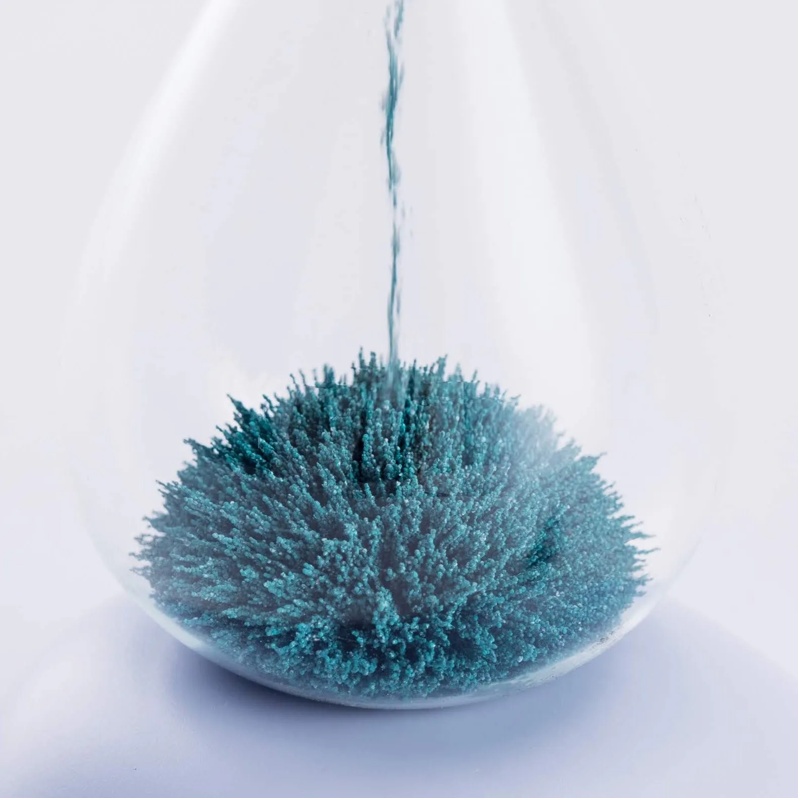 OH WHALE Glass Sand Timer