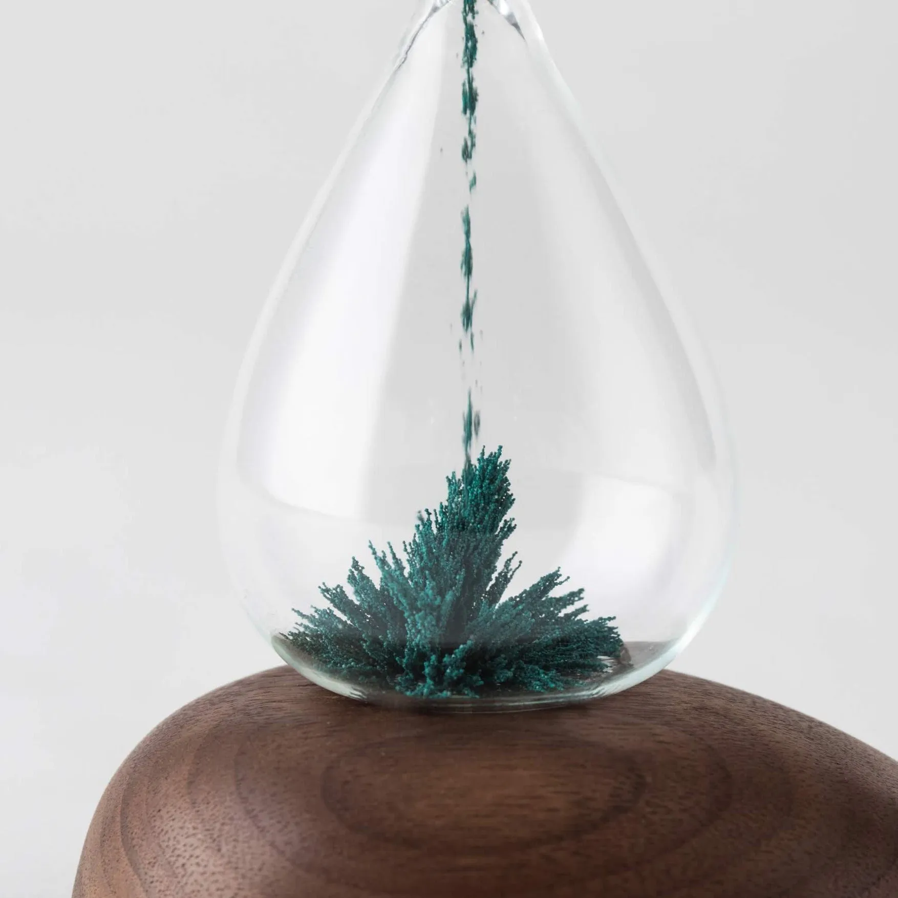 OH WHALE Glass Sand Timer