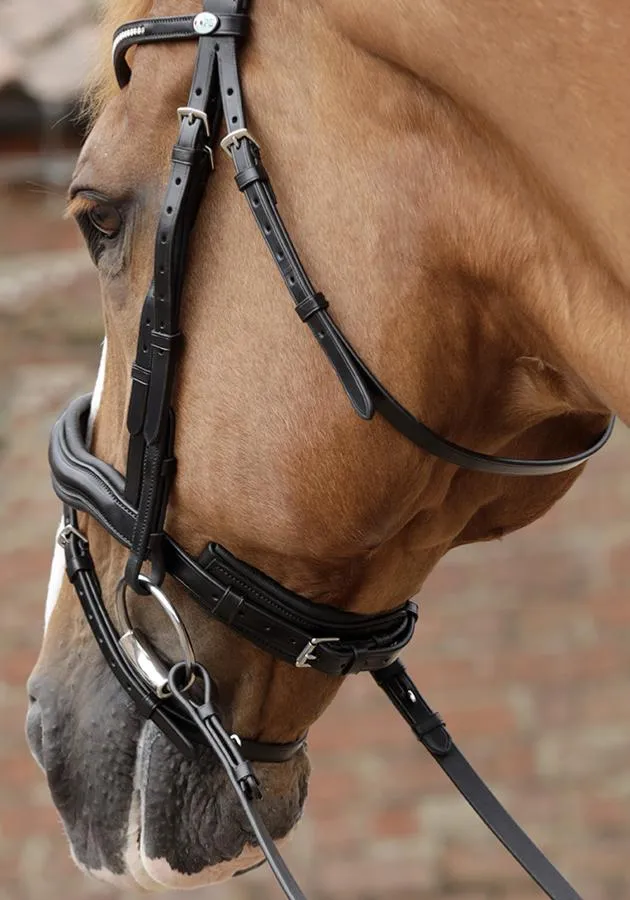 PEI Stellazio Anatomic Bridle