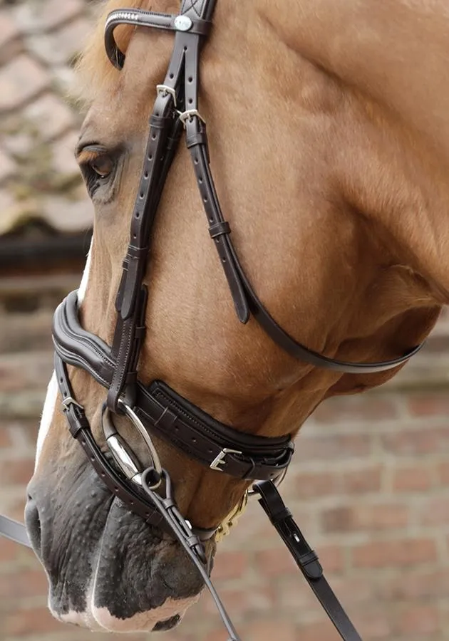 PEI Stellazio Anatomic Bridle