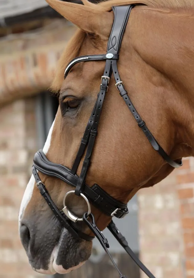 PEI Stellazio Anatomic Bridle