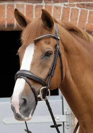 PEI Stellazio Anatomic Bridle