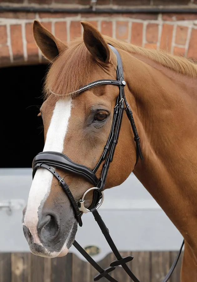 PEI Stellazio Anatomic Bridle
