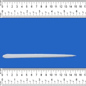 Real Stingray Barb SB21