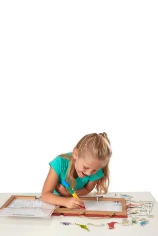 Reusable Drawing and Magnetic Kit Dino