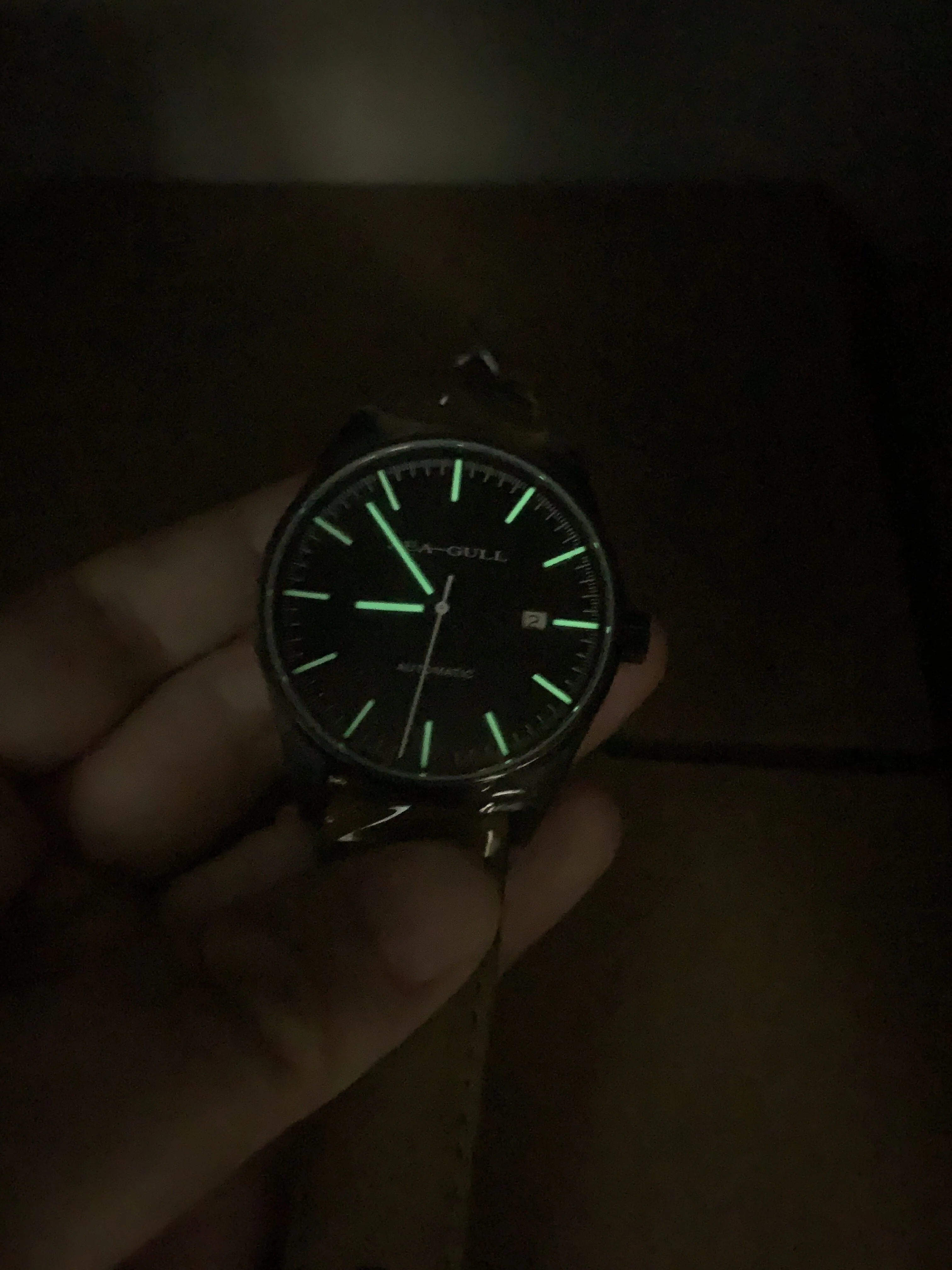 Seagull Vintage Military Wristwatch PVD Case Back 40mm Classic Luminous Hands Self Wind Automatic Watch 819.22.5121H
