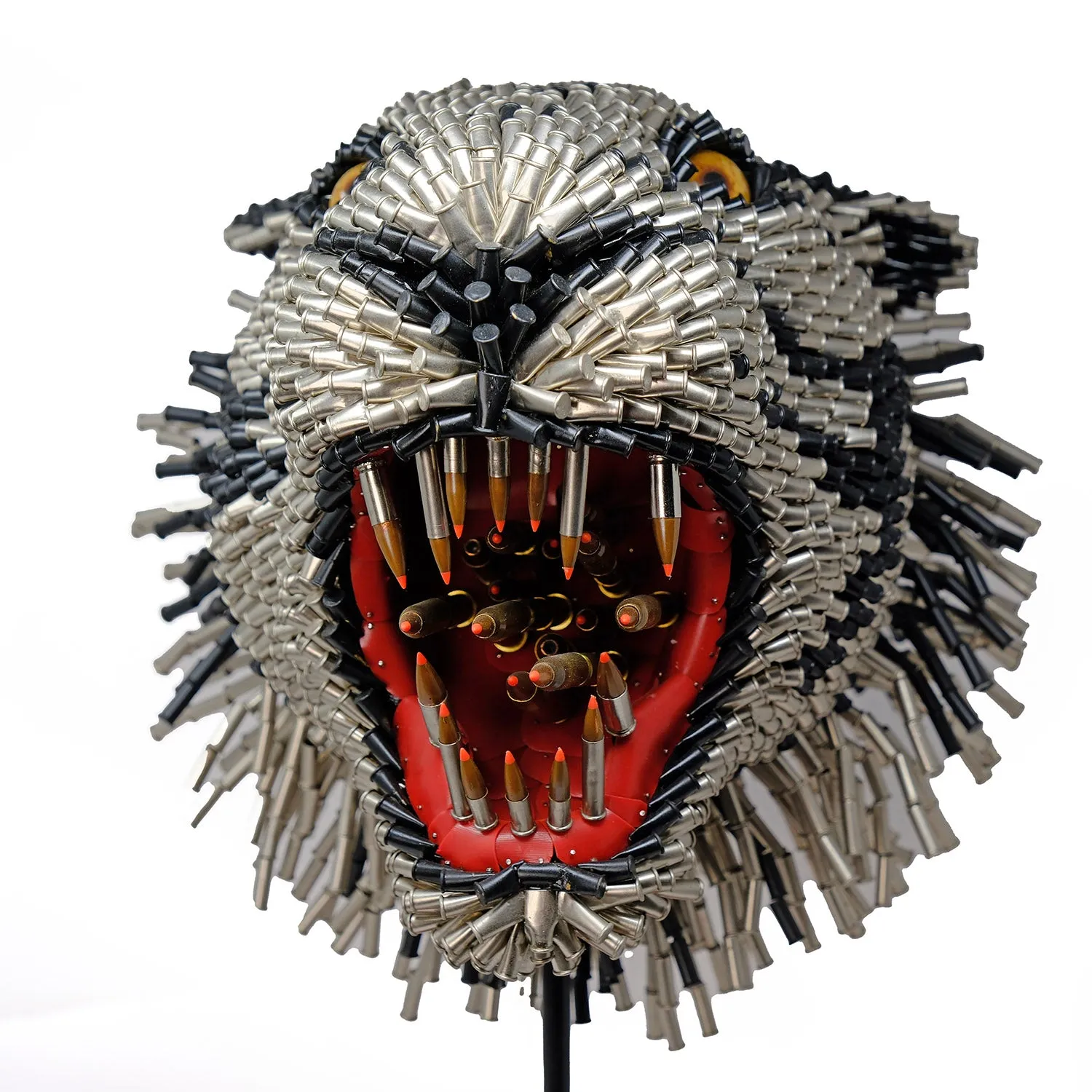 Tigre Blanco