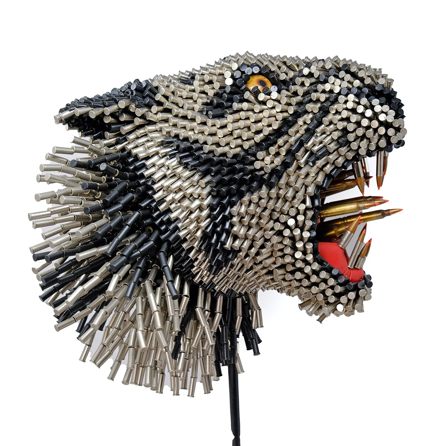 Tigre Blanco
