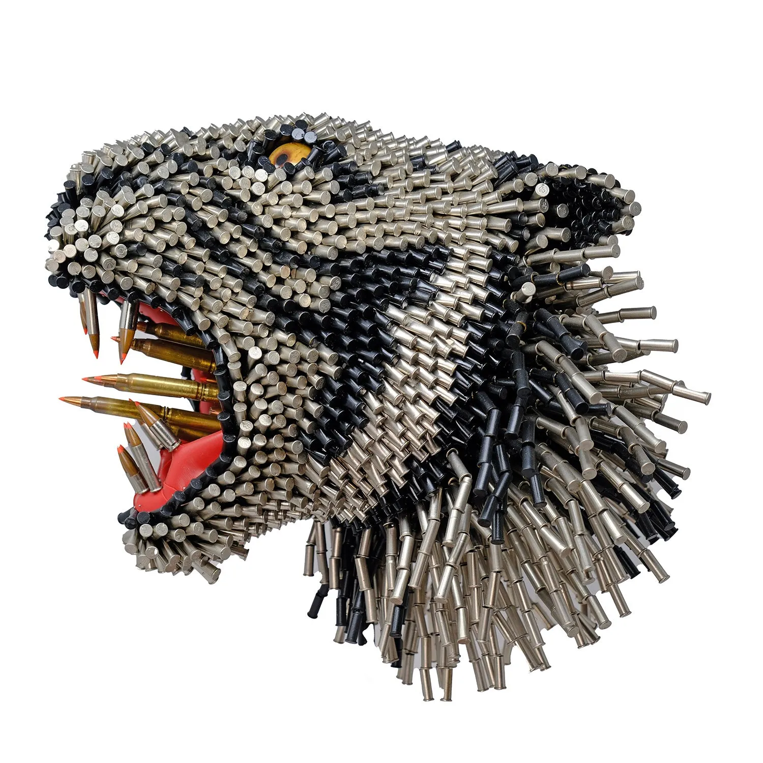 Tigre Blanco