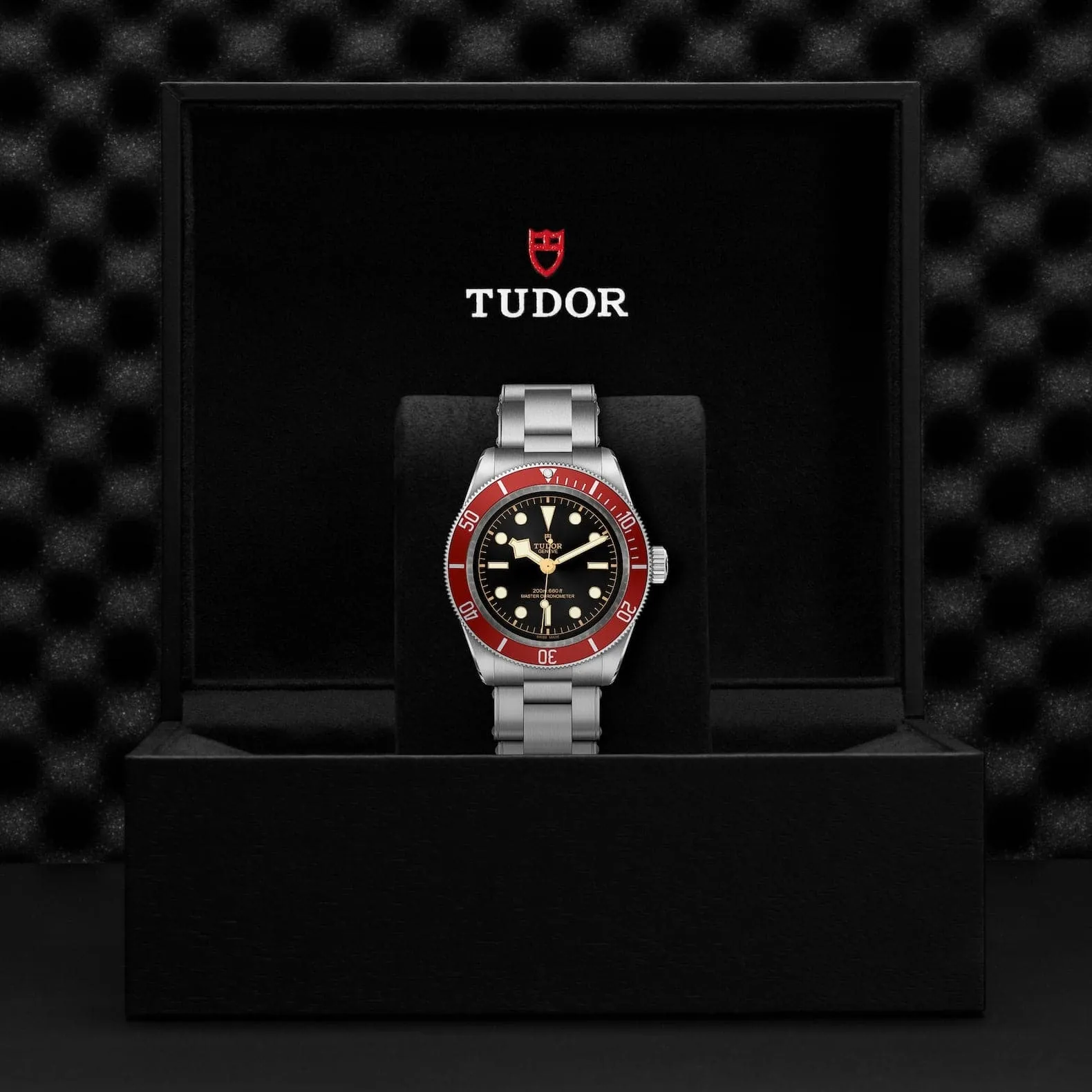 TUDOR Black Bay 41mm Case, Black Dial, Steel Bracelet (M7941A1A0RU-0001)